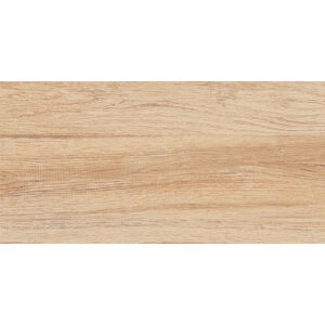 Zalakerámia Wood ZRF 60302 padlólap 30x60