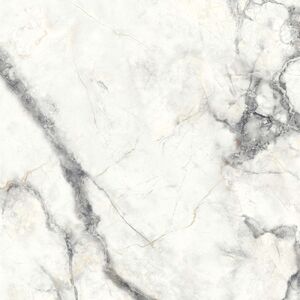 Dado Ceramica Charme Invisible Grey 60×60