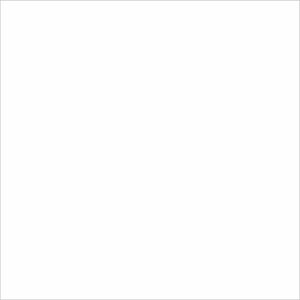Valore Belle Epoque Element Blanco 25×25