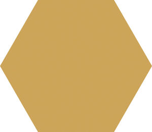 Valore Belle Epoque Element Hexa Ocre 23×27