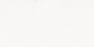 Tubadzin Veil By Valore D-Element 1 Veil leaves B 59,8x119,8