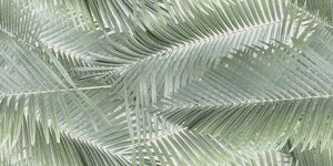 Valore Altea Leaves ccr211 falicsempe 30x60