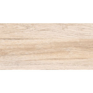 Zalakerámia Wood ZRF 60301 padlólap 30x60