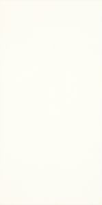 Paradyz Moonlight bianco csempe 29.5x59.5