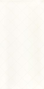 Paradyz Tonnes Bianco KRATKA 30x60