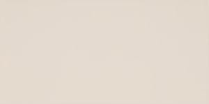 Pradyz Synergy Beige csempe 30x60