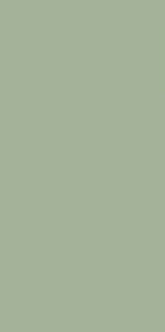 Paradyz Feelings Green Mat falicsempe 29,8x59,8