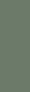 Paradyz Nightwish Green Mat falicsempe 25x75