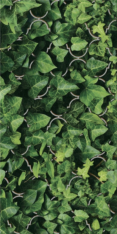 Paradyz Dream Uniwersalny Inserto Szklane 30x60 dekor