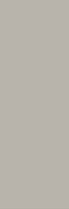 Paradyz Neve Grys REKT. POLYSK 25 x 75 falicsempe