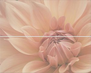 Zalakerámia Azali Dahlia F-53021 20x50 dekor szett