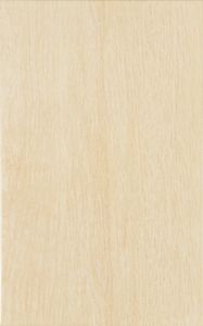 Zalakerámia Legno Beige ZBD 42035 25x40 falicsempe