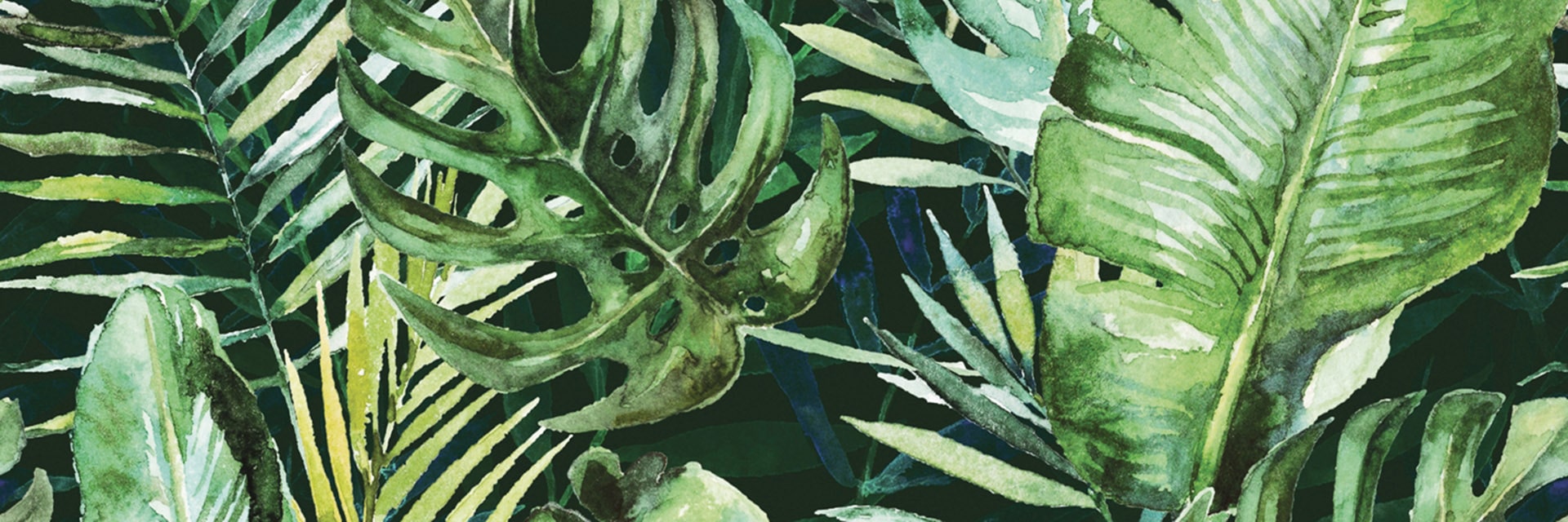 Konskie Braga Tropic C Inserto 25x75 dekorelem